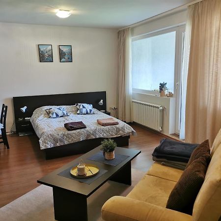 Sunny Studio Apartment - Few Steps From Gondola Bansko Exterior photo