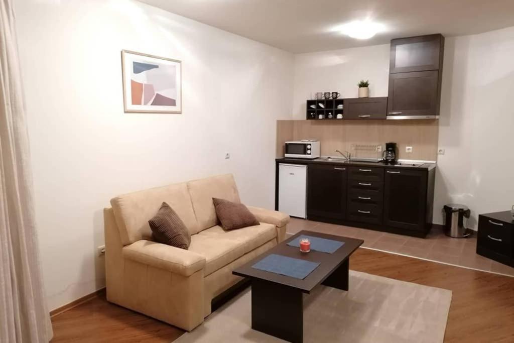 Sunny Studio Apartment - Few Steps From Gondola Bansko Exterior photo