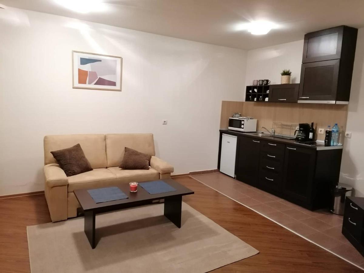 Sunny Studio Apartment - Few Steps From Gondola Bansko Exterior photo