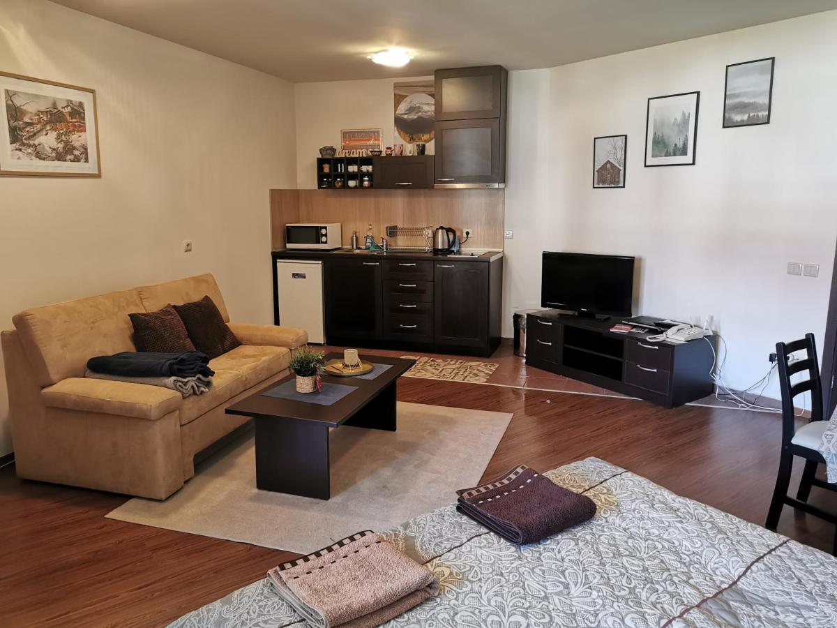 Sunny Studio Apartment - Few Steps From Gondola Bansko Exterior photo